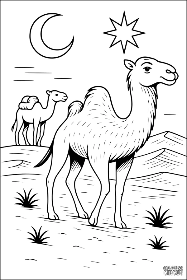 Coloring page featuring two camels in a desert landscape under a crescent moon and star
