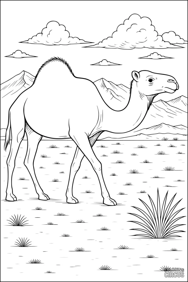 Coloring page featuring a camel in a desert landscape with mountains and clouds