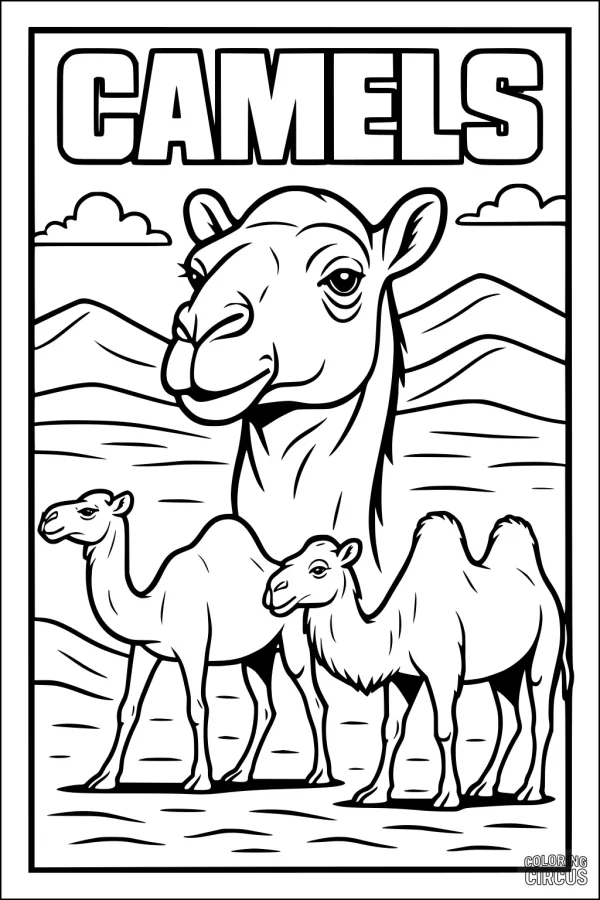 Coloring page with three camels standing in a desert with mountains and clouds