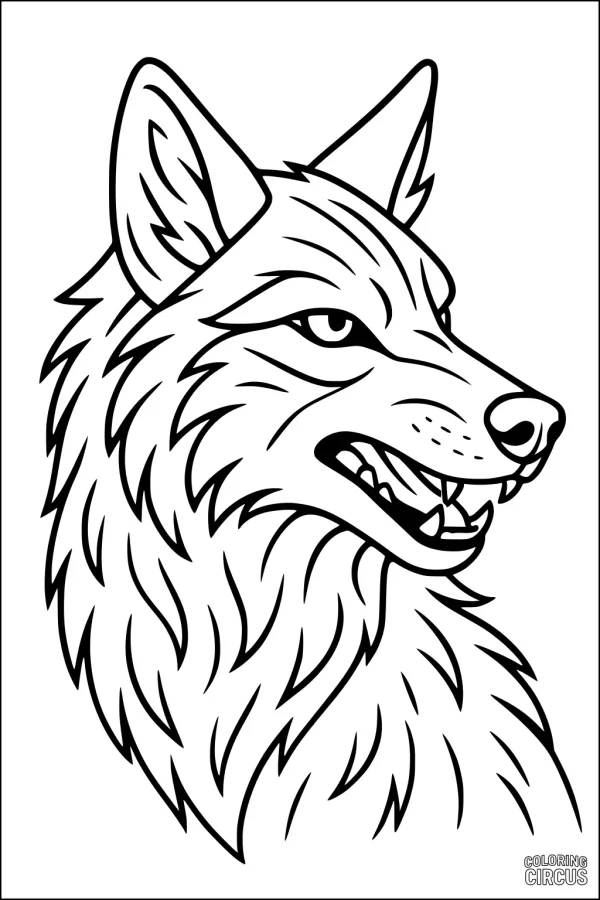 Coloring page showing a detailed portrait of a coyote head with alert ears and fur texture