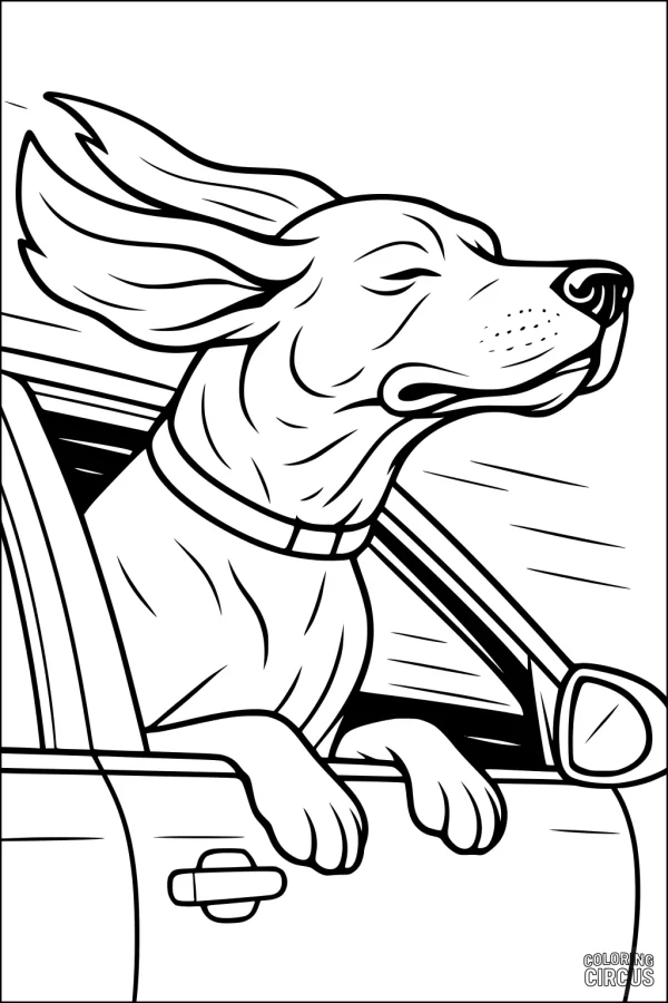 Coloring page showing a dog with ears flapping, head out of a car window