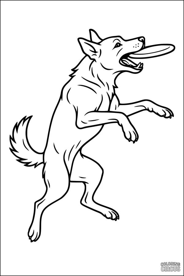 Coloring page showing a playful dog jumping to catch a frisbee