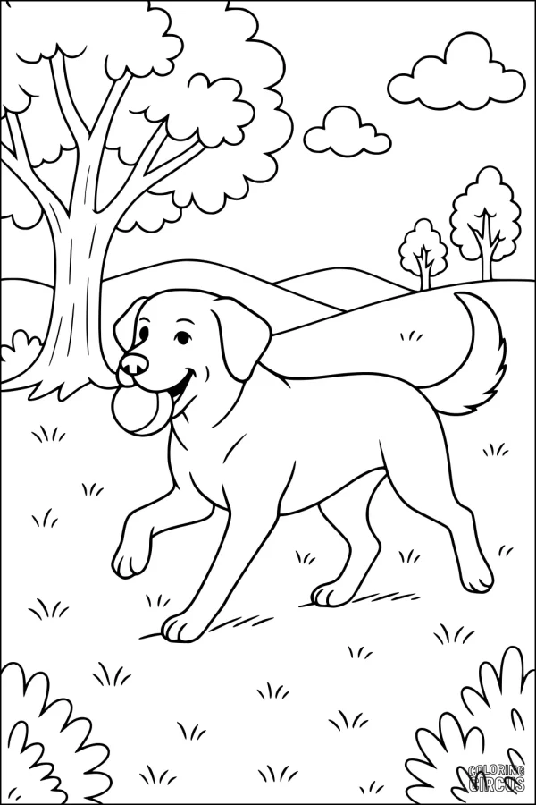 Coloring page featuring a happy dog playing fetch with a ball in a grassy park with trees and clouds.