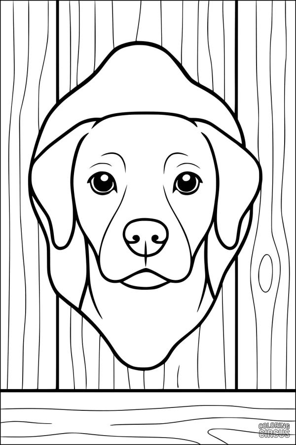 Coloring page showing a friendly dog face peeking through a wooden fence