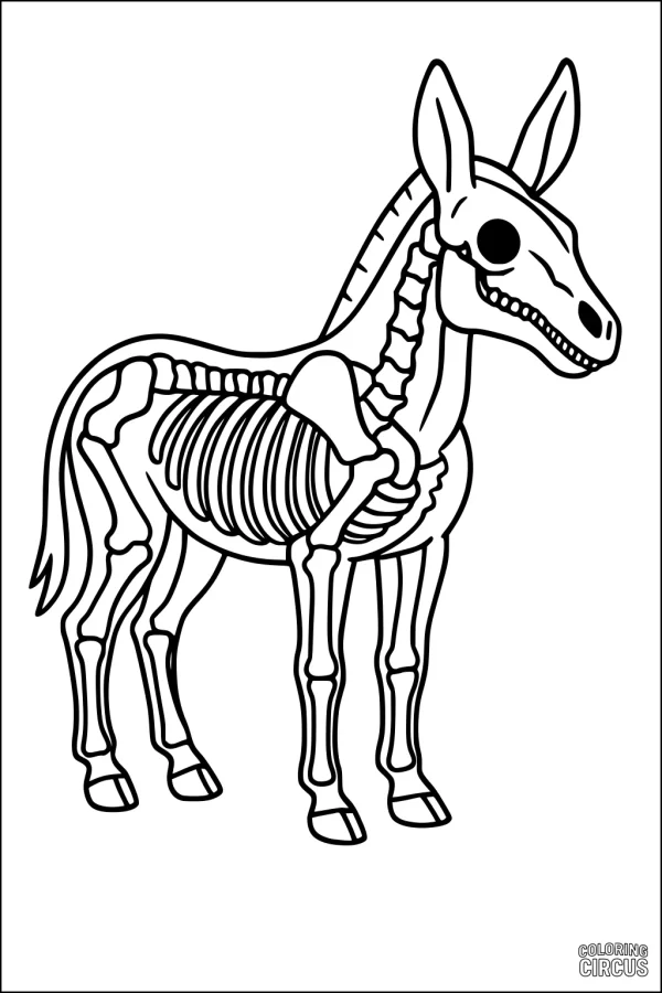Coloring page of a donkey with detailed skeleton anatomy outlined