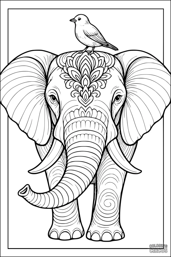 Coloring page featuring an ornate elephant with a bird on its head and decorative patterns