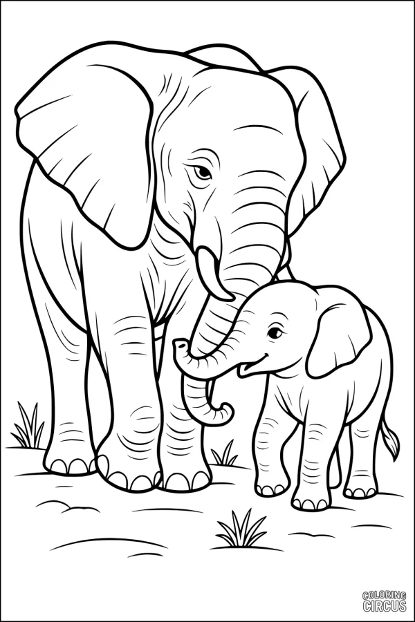 Coloring page showing a mother elephant and baby elephant walking together in grassy field.