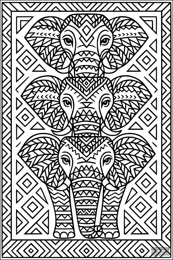 Coloring page featuring three patterned elephants with geometric designs and a decorative border