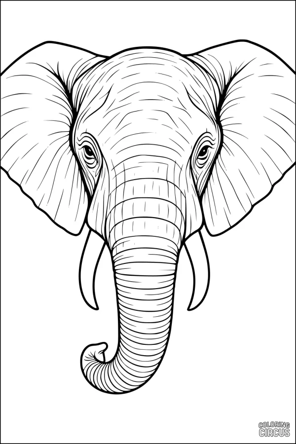 Coloring page showing a detailed elephant face with large ears, tusks, and trunk