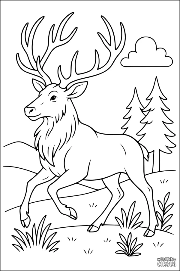 Coloring page showing a friendly elk with large antlers walking in a forest landscape with pine trees