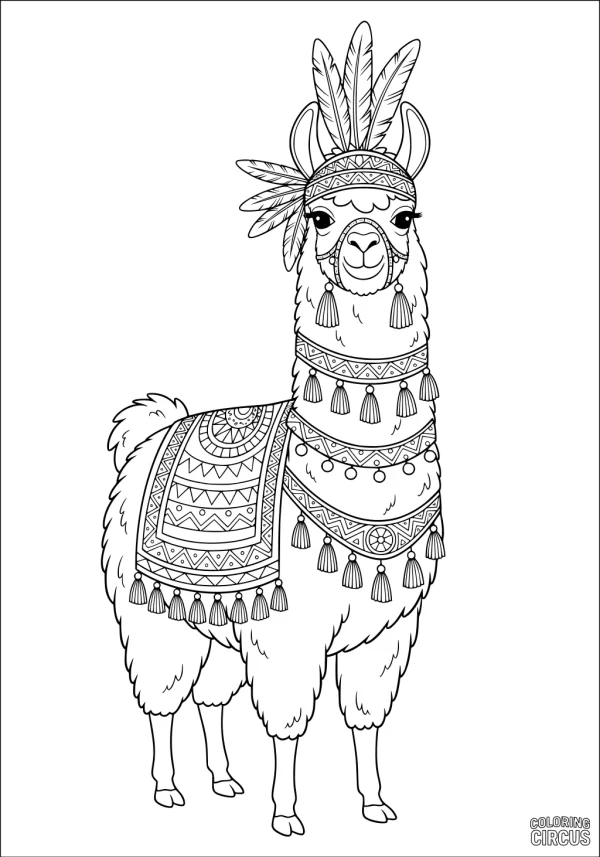 Coloring page featuring a llama with festive patterned blankets, tassels, and a feathered headpiece