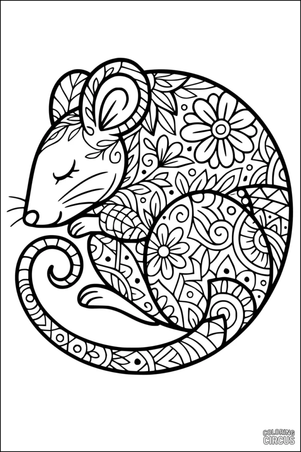 Coloring page featuring a curled sleeping mouse with intricate floral and mandala patterns
