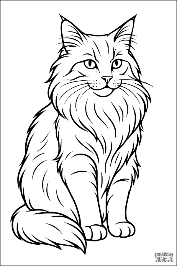 Coloring page showing a fluffy cat sitting calmly, with detailed fur and friendly eyes.