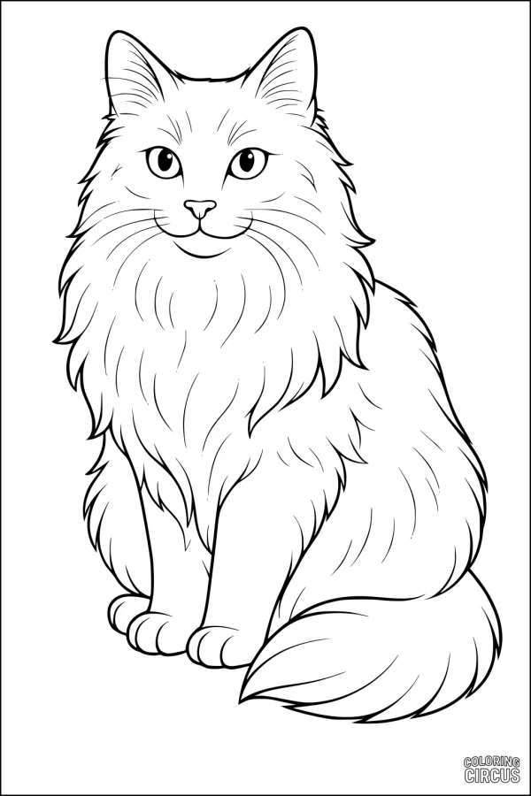 Coloring page of a fluffy, long-haired cat sitting and looking forward