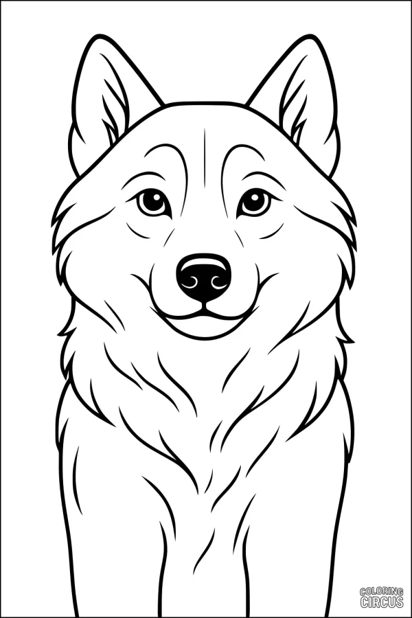 Coloring page of a friendly fluffy dog with upright ears and soft fur, suitable for kids