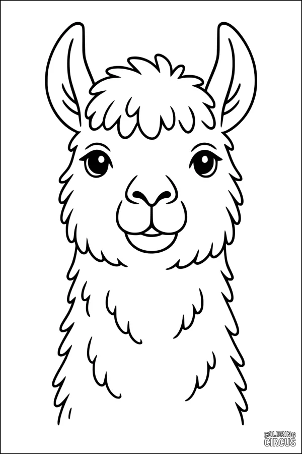 Coloring page of a smiling fluffy llama with cute features