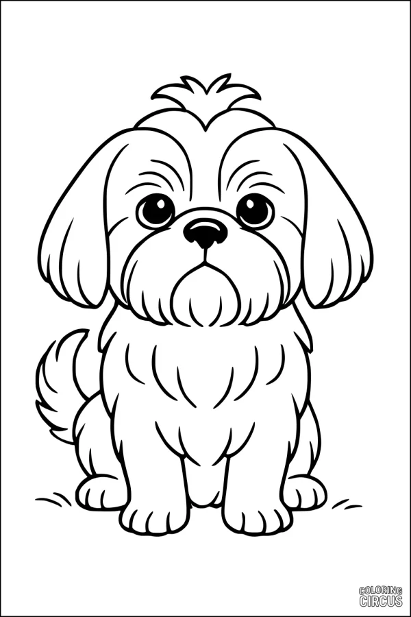 Coloring page showing a fluffy cartoon dog sitting and looking forward