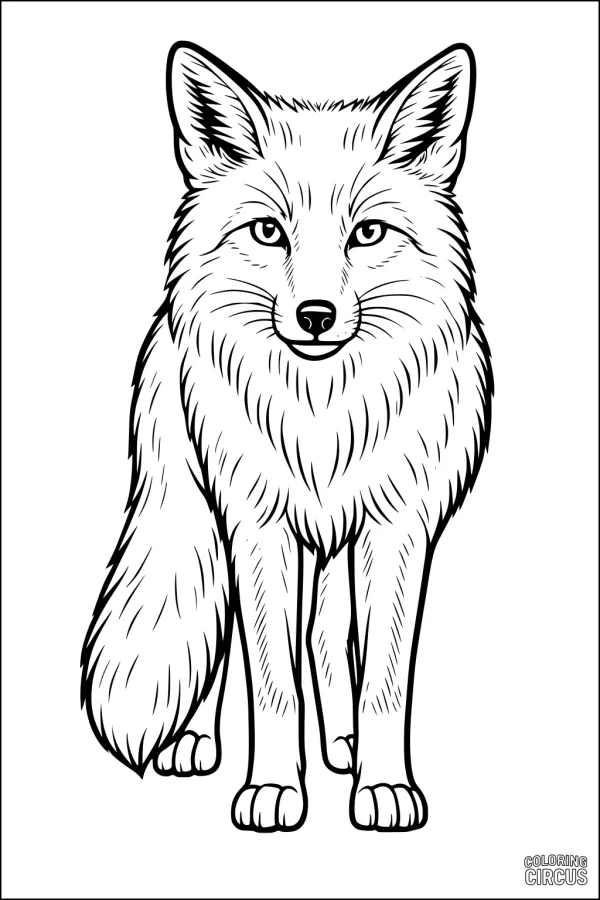 Coloring page of a realistic standing fox with a bushy tail and detailed fur