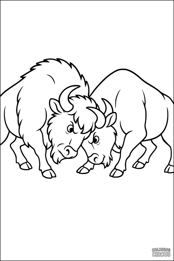 Coloring page two cartoon bison gently butting heads in a playful prairie scene