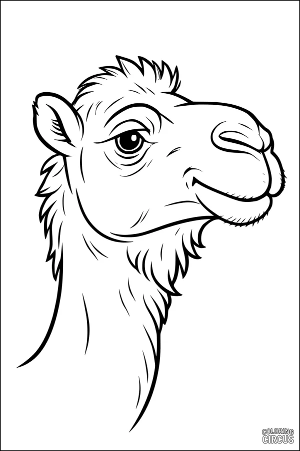 Coloring page featuring the head and neck of a smiling camel, suitable for children