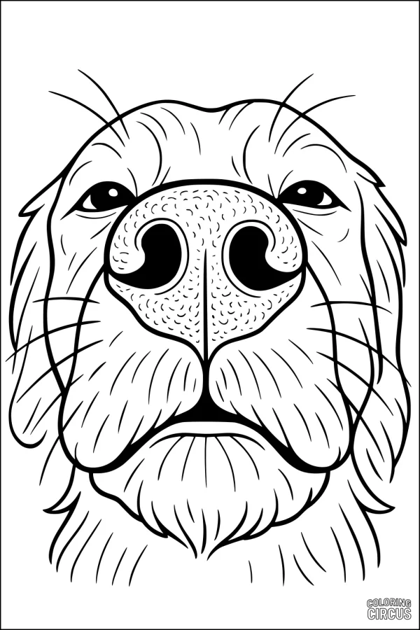 Coloring page of a large friendly dog's face close-up, showing detailed nose and fur for children