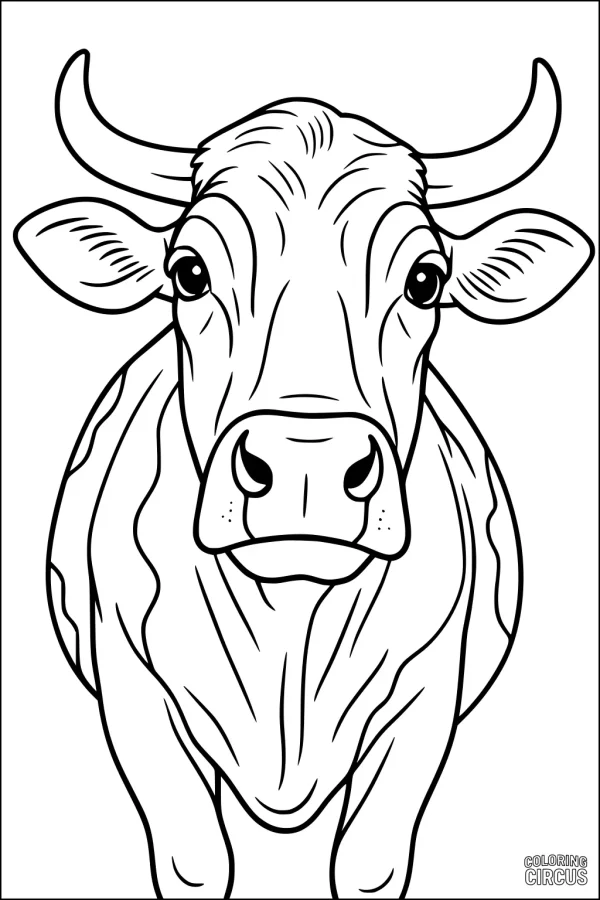 Coloring page showing a detailed front-facing farm cow with gentle eyes and large horns