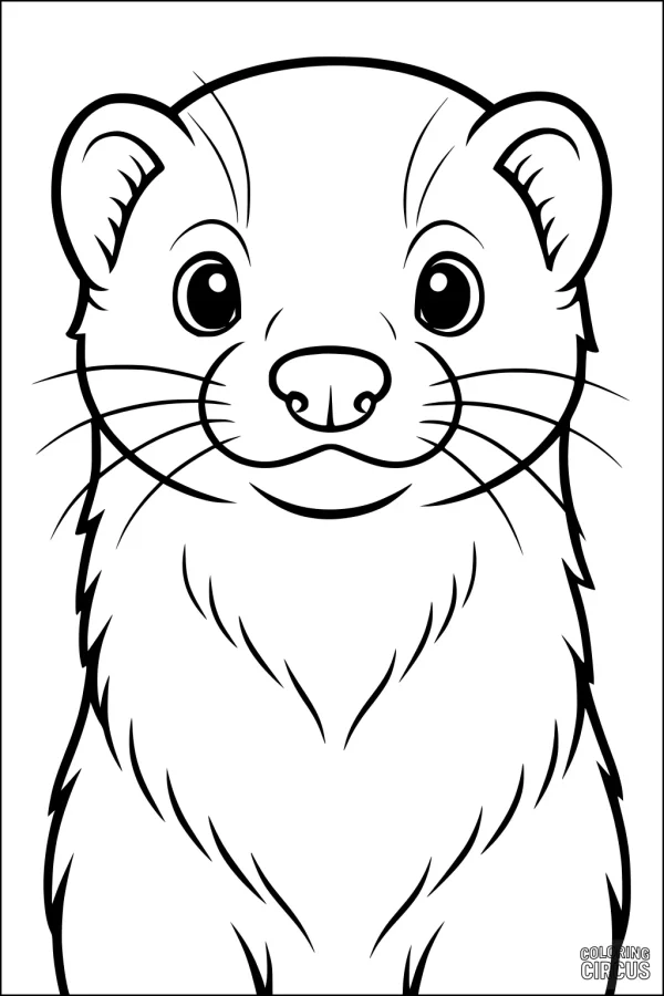 Coloring page featuring a cute ferret with big eyes and fluffy fur