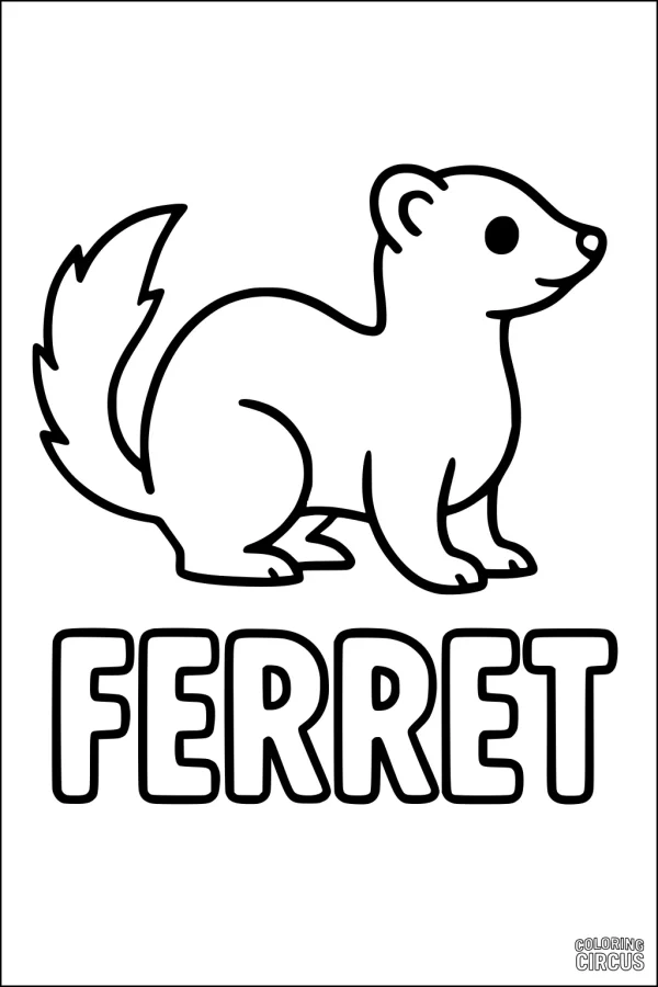 Coloring page featuring a simple cartoon ferret with large letters spelling ferret