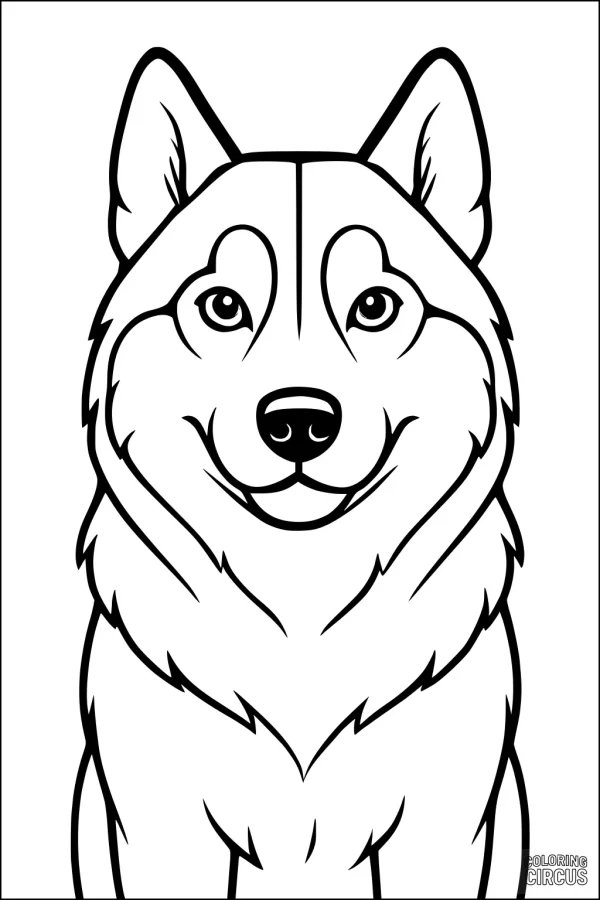 Coloring page featuring a smiling cartoon dog with a fluffy fur coat