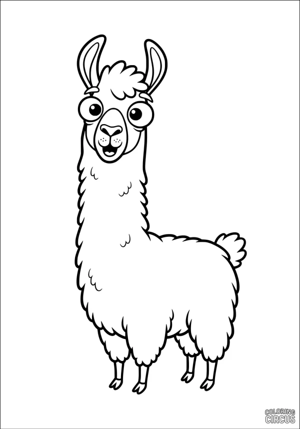 Coloring page featuring a cute, fluffy llama standing and looking forward