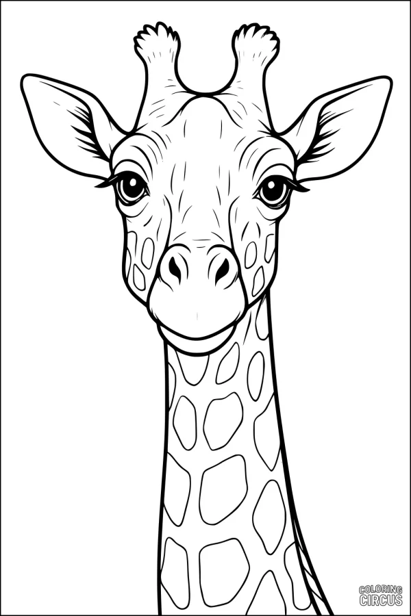 Coloring page showing a friendly giraffe face with large ears and gentle eyes