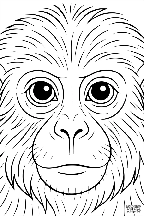 Coloring page showing a friendly cartoon monkey face with big eyes and detailed fur.