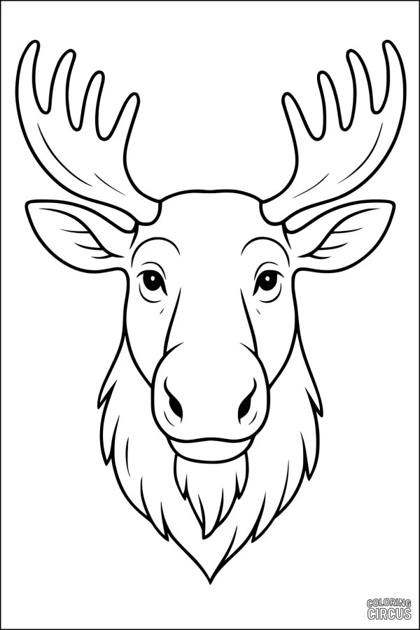 Coloring page of a moose head with large antlers for kids
