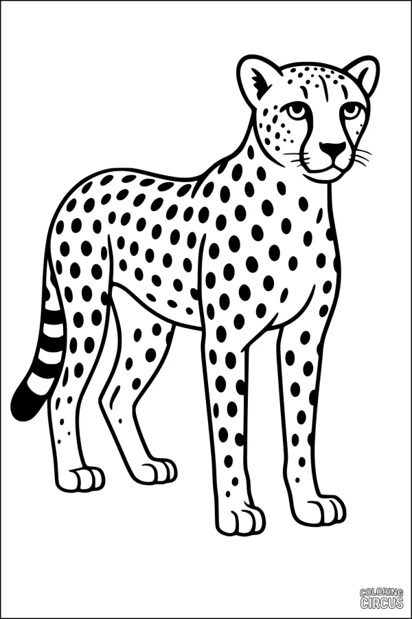 Coloring page of a standing cheetah with clear spots and a striped tail