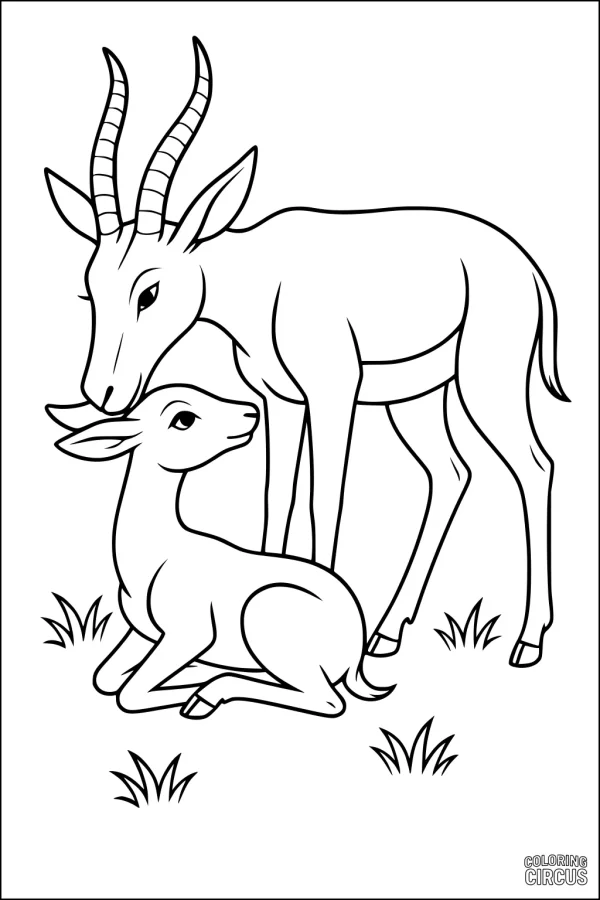 Coloring page showing two gazelles, one standing and one sitting, with grass.