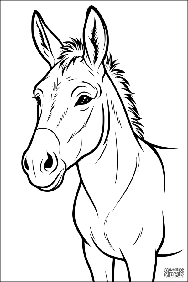Coloring page of a friendly donkey for kids