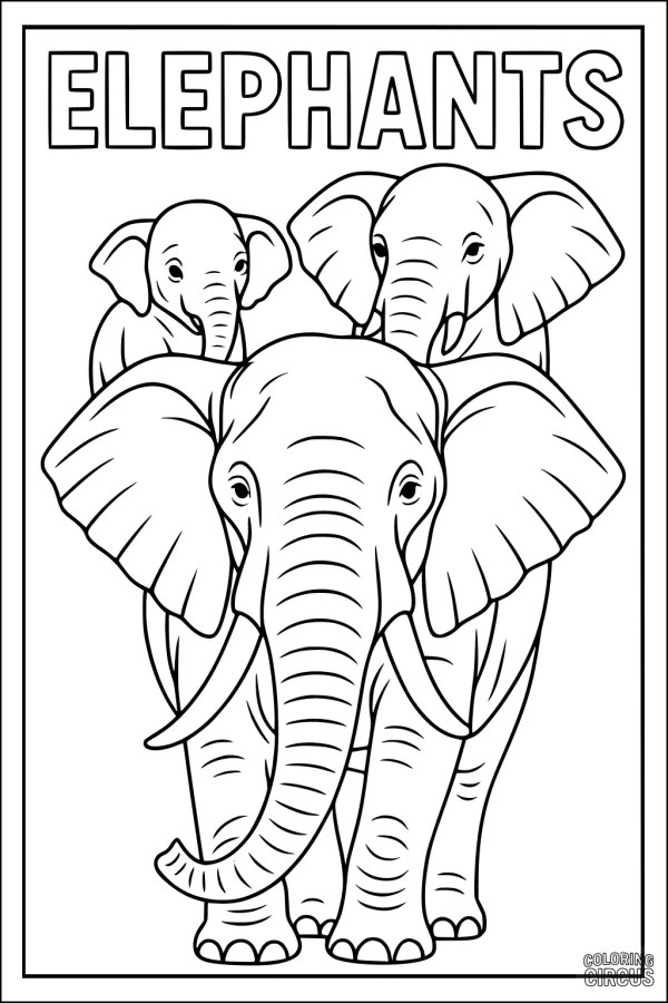 Coloring page featuring three elephants standing together, with large ears and trunks, under the word elephants
