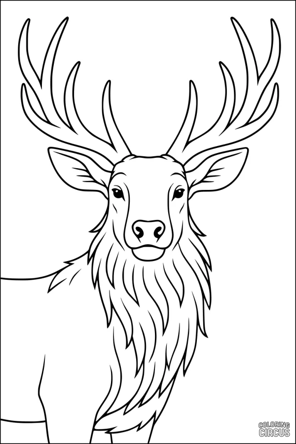 Coloring page featuring a large elk with impressive antlers and shaggy fur, perfect for children’s coloring activities.