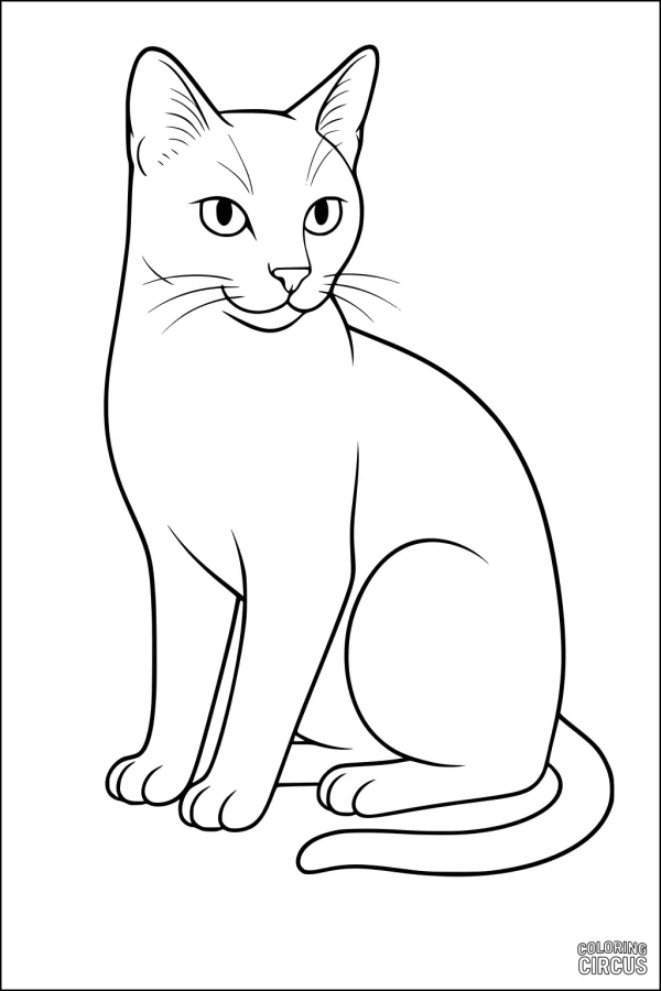 Coloring page of a sitting cat with upright ears and a long tail