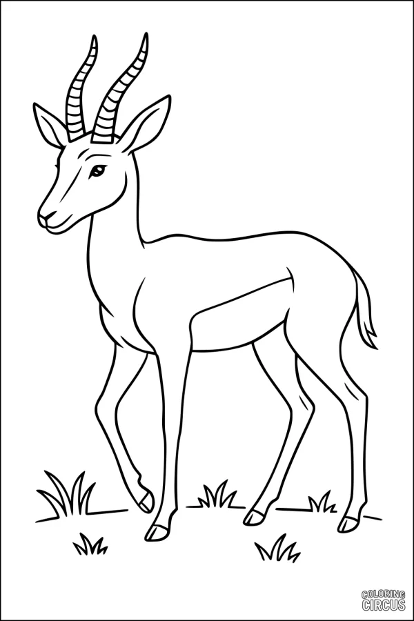 Coloring page of a standing gazelle with curved horns on grassy plains, suitable for kids.
