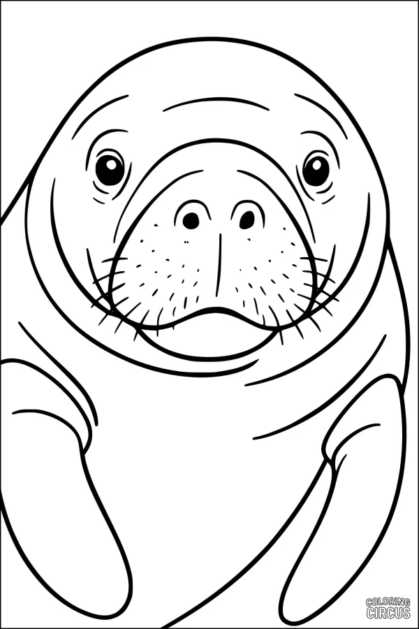 Coloring page close-up of a cute manatee face for kids