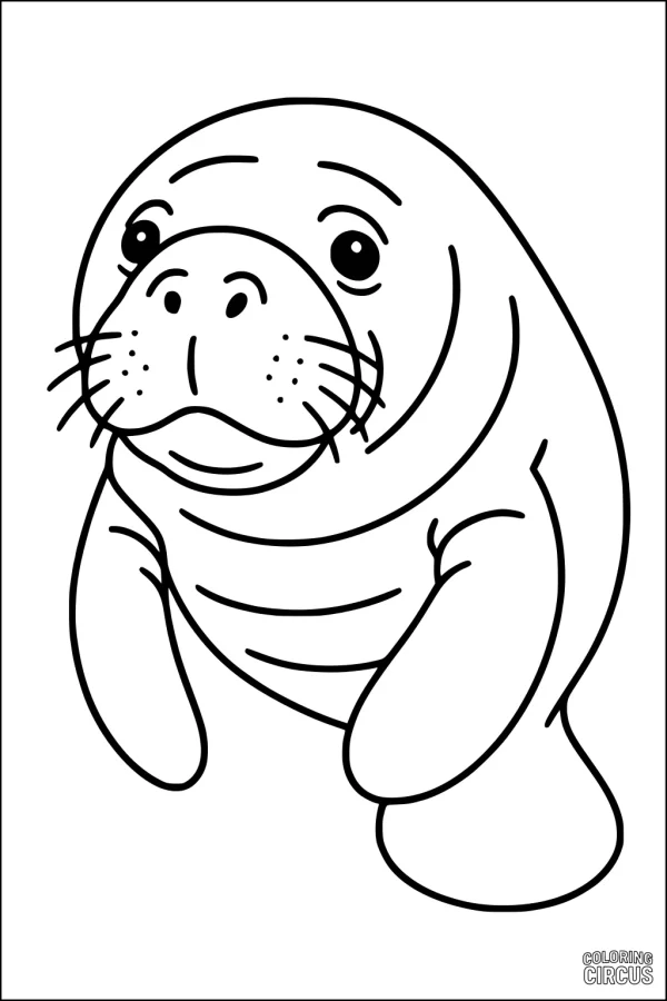 Coloring page showing a cute cartoon manatee with big eyes and round flippers, perfect for young children