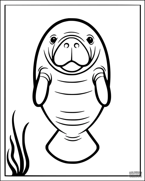 Coloring page showing a friendly manatee with flippers, swimming near seagrass