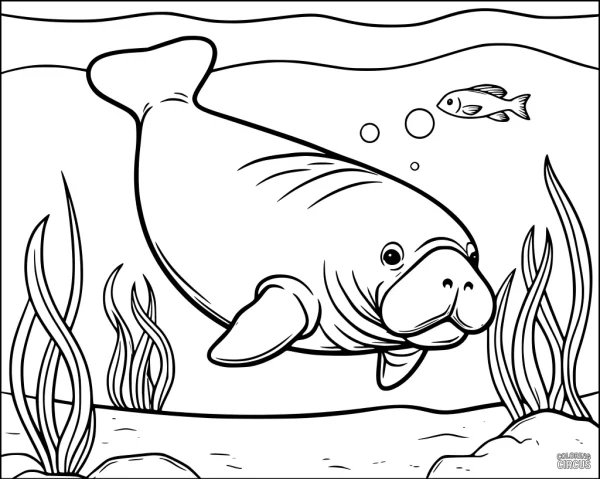 Coloring page of a friendly manatee swimming underwater with seagrass and a small fish