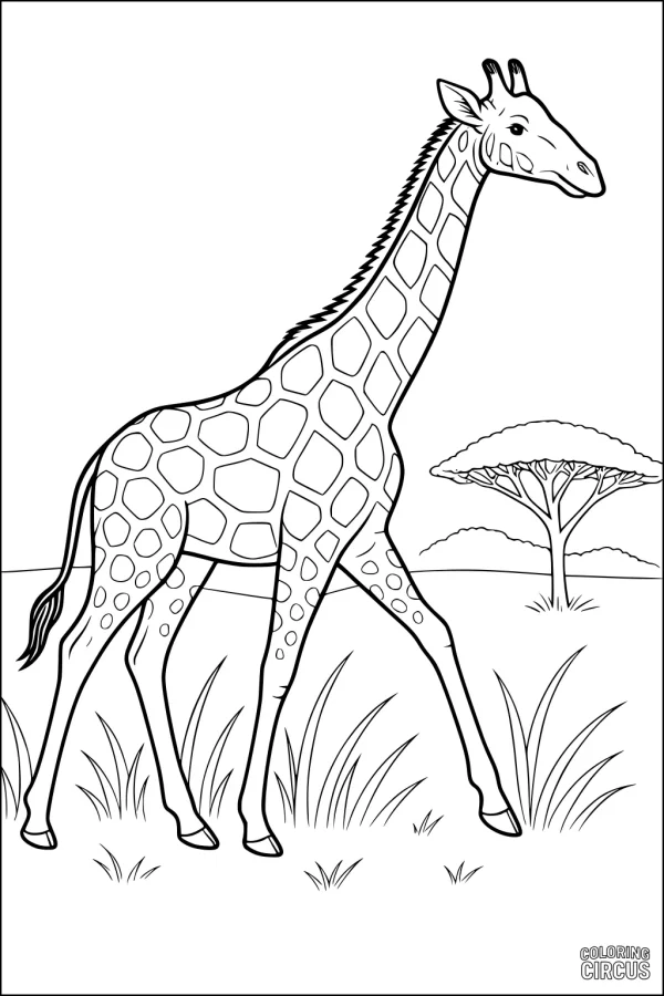 Coloring page giraffe walking on African savanna with tree and grass