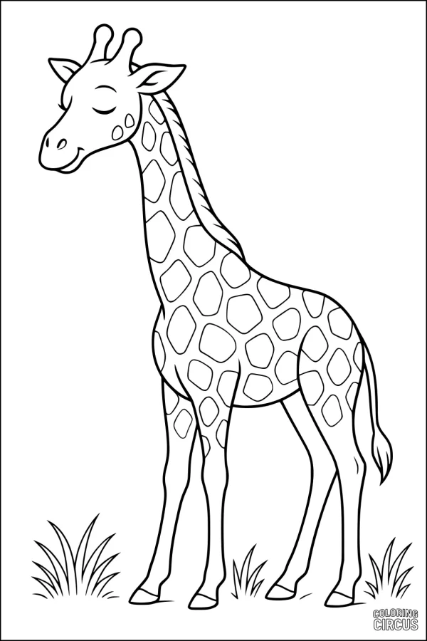 Coloring page showing a cute cartoon giraffe standing in grass for children