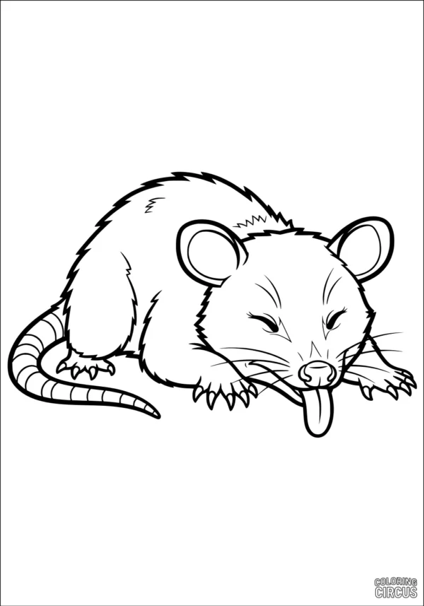 Coloring page of a playful opossum with its tongue sticking out