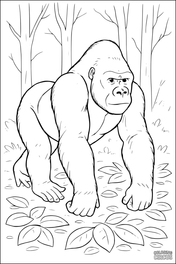 Coloring page showing a gorilla walking on all fours in a forest with leaves on the ground and trees in the background.