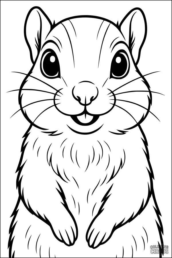 Coloring page of a cute chipmunk with big eyes and a friendly smile, perfect for kids