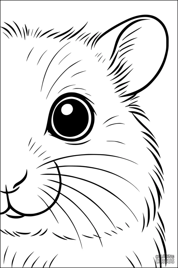 Coloring page close-up of a cute hamster face with large eyes and fluffy fur